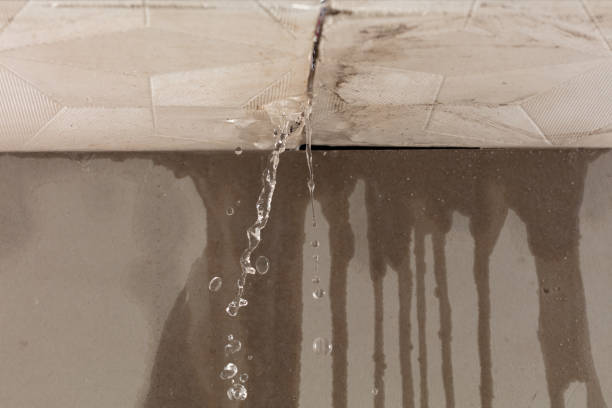 Professional Water Damage Repair technician working in Bigfoot, TX